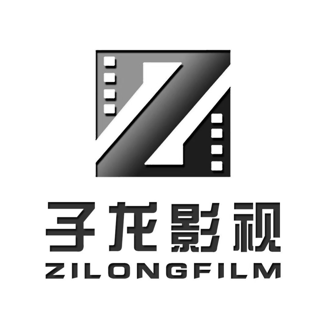 子龙影视